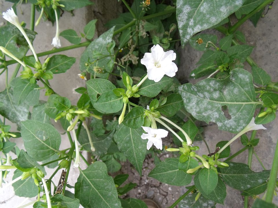 20100523 002.jpg