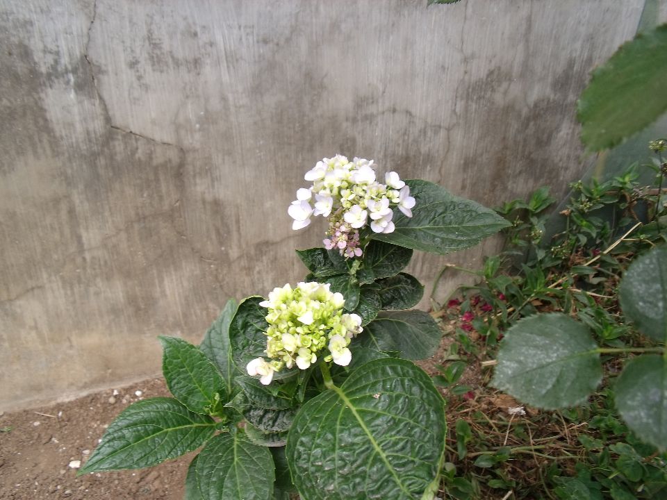 20100520 040.jpg