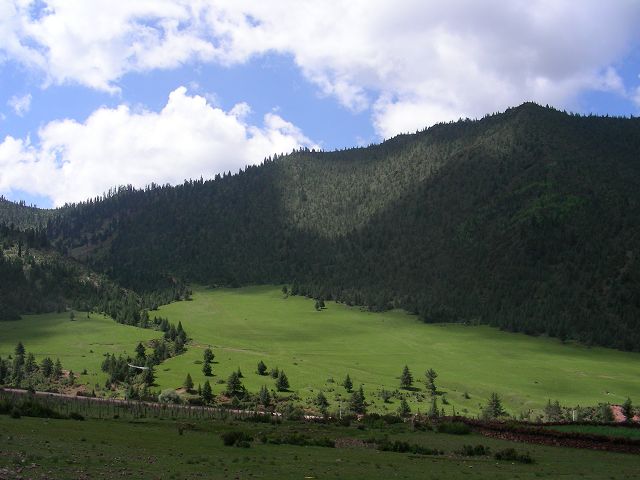DSCN0689.JPG