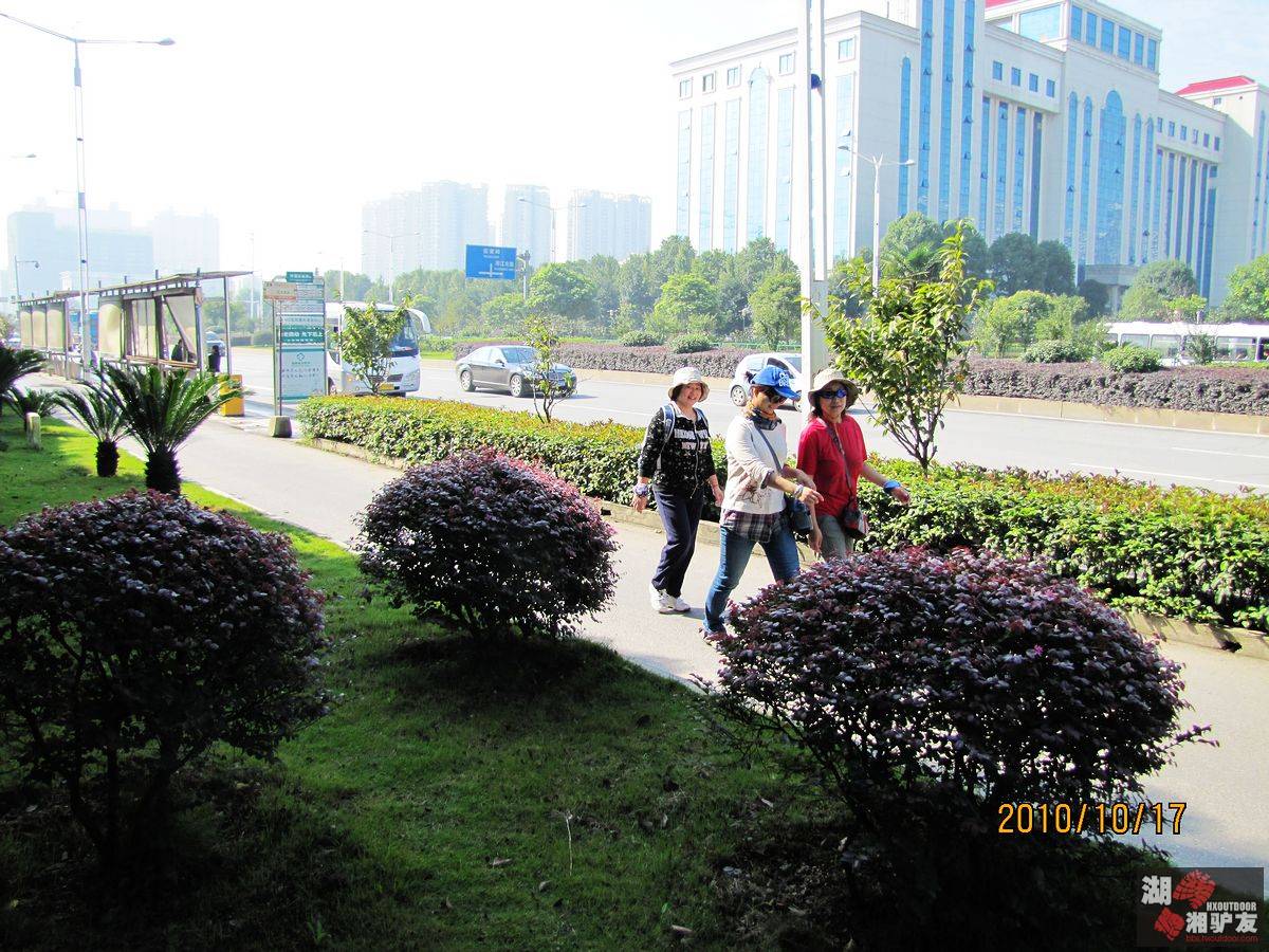 20101017�̵�����̬԰ 024.jpg