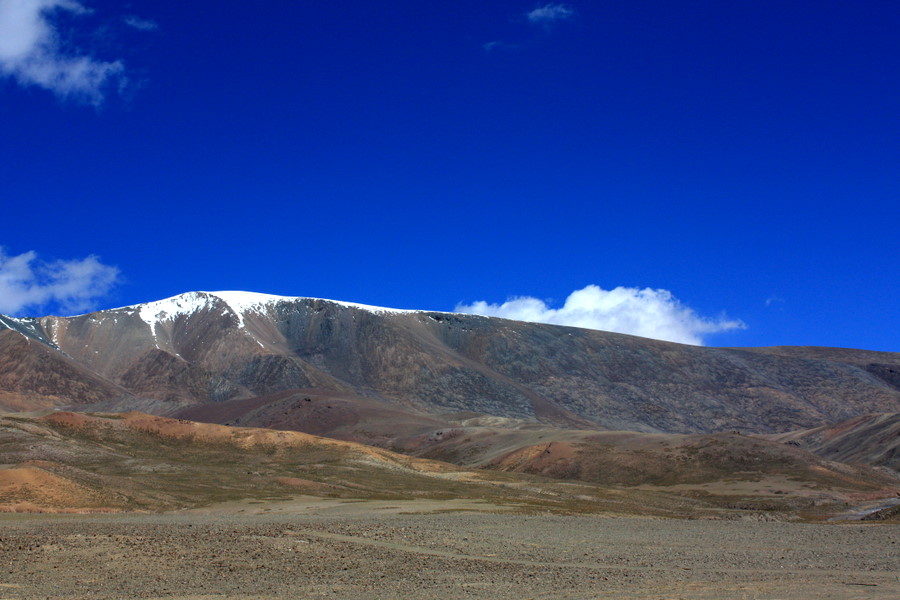 IMG_2876.JPG