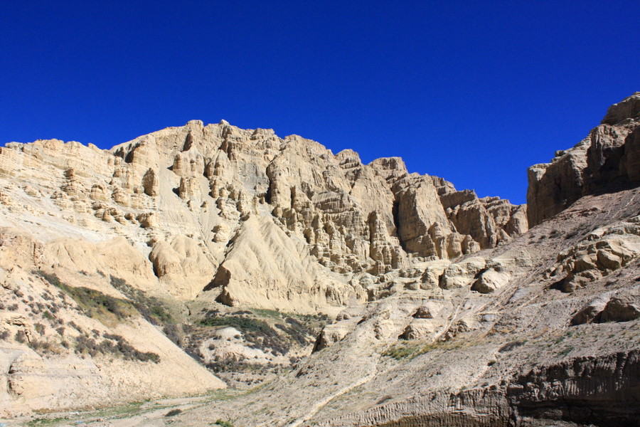IMG_3009.JPG