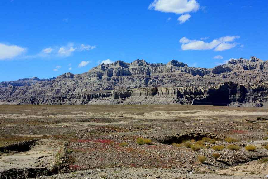 IMG_3013.JPG