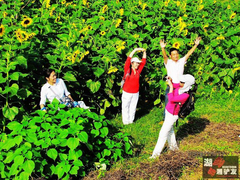 20101017�̵�����̬԰ 129.jpg