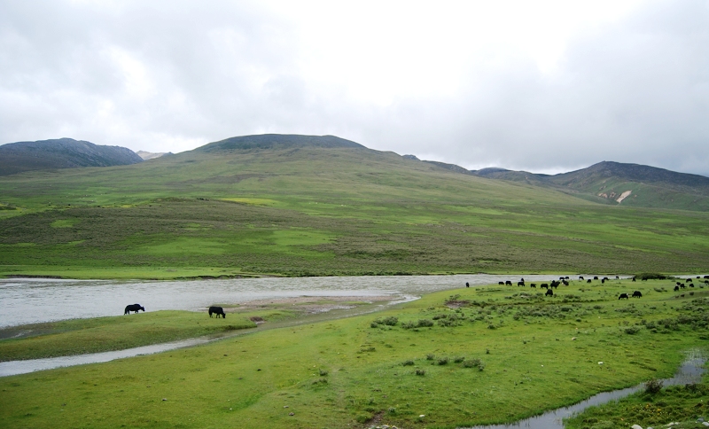 DSC_0501.JPG