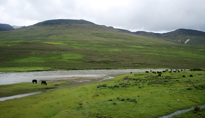 DSC_0503.JPG