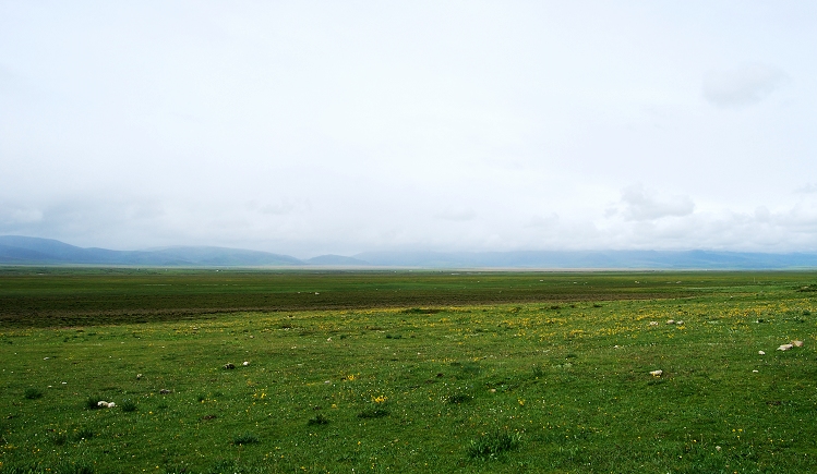 DSC_0506.JPG