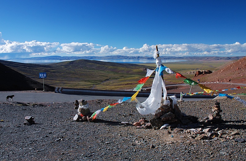 DSC_0267.jpg