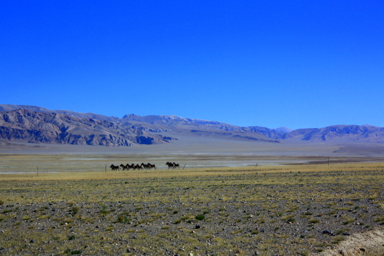 IMG_3681.JPG