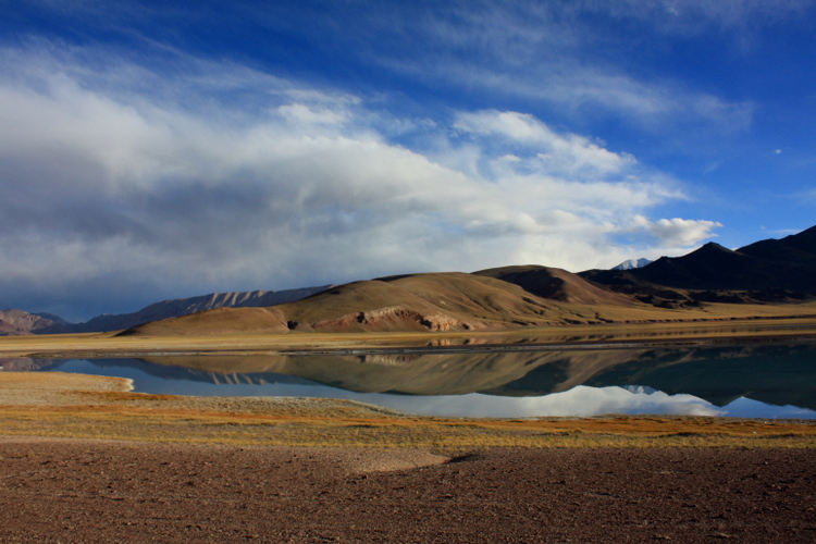 IMG_3787.JPG