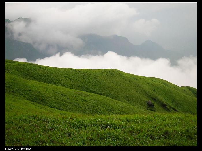 DSCN4528.jpg