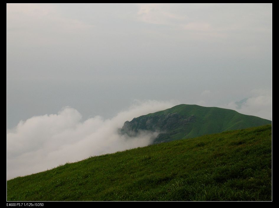 DSCN4531.jpg