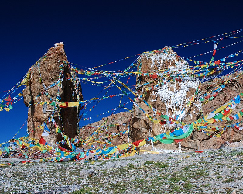 DSC_0443.jpg