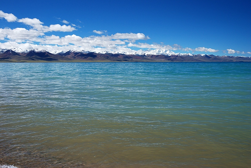 DSC_0448.jpg