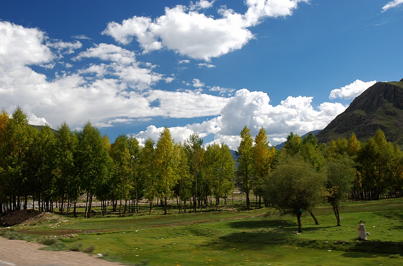 DSC_0502.jpg