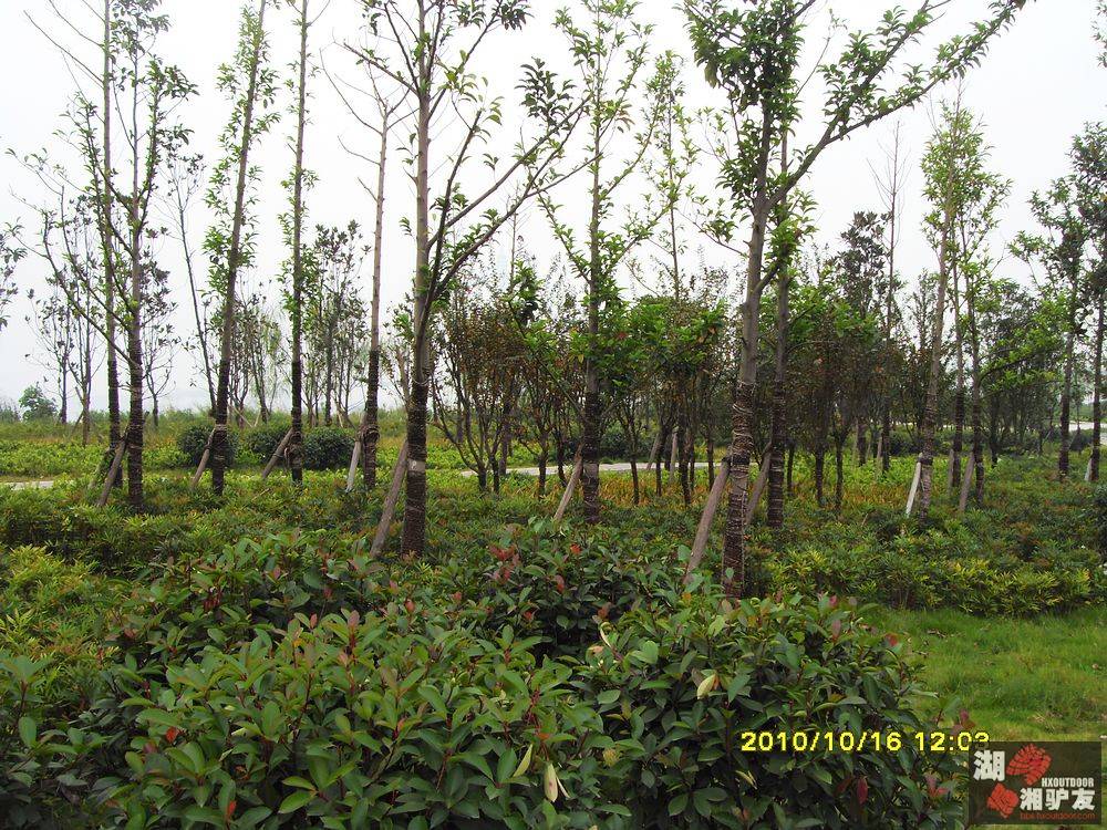 SDC17269.jpg