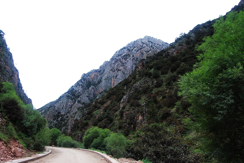 DSC_0610.JPG
