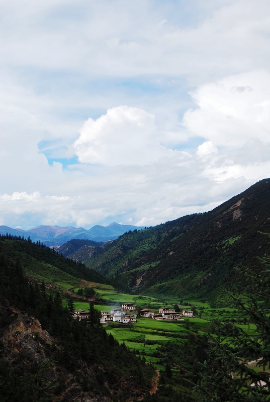 DSC_0617.JPG
