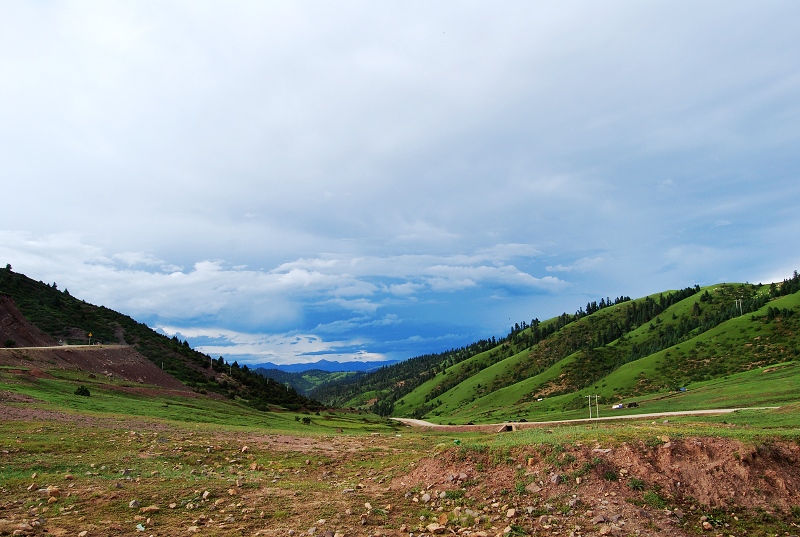 DSC_0626.JPG