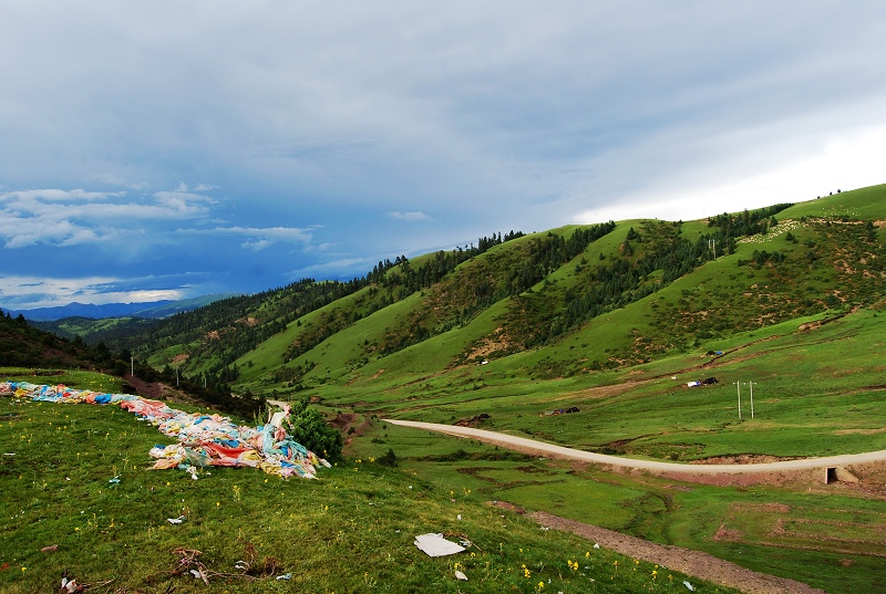 DSC_0640.JPG