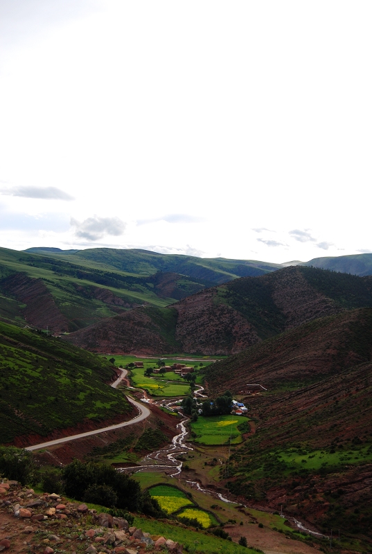 DSC_0661.JPG