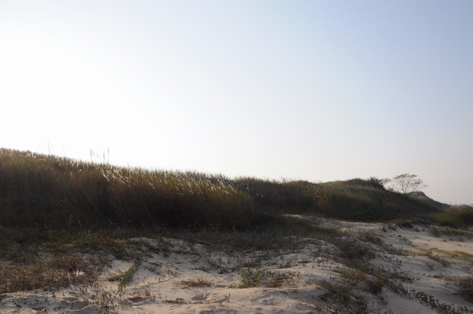 DSC_0842.jpg