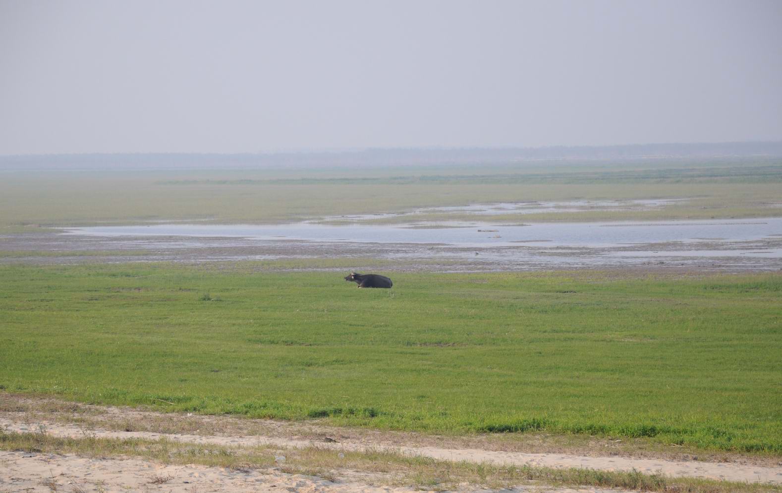 DSC_0846.jpg