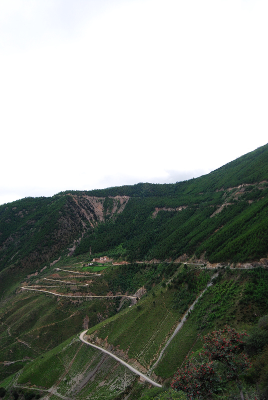 n60 708.jpg