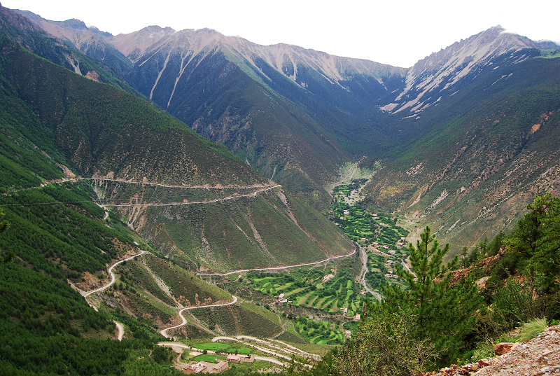 n60 709.jpg