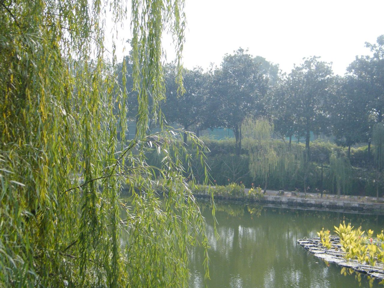 DSCF0887.JPG