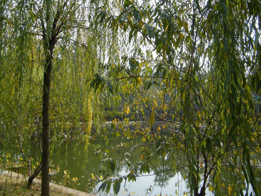 DSCF0897.JPG