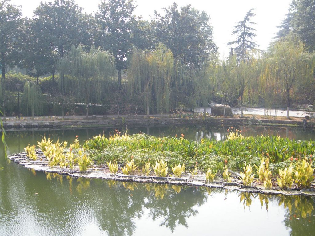 DSCF0892.JPG