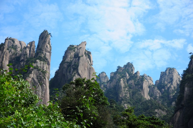 DSC_3020.jpg