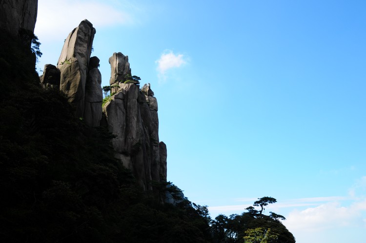 DSC_3341.jpg