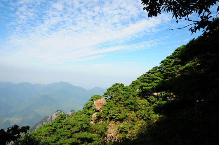 DSC_3620.jpg