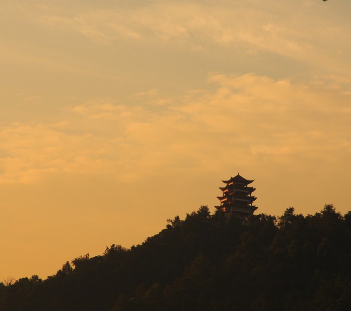 DSC_3919.jpg