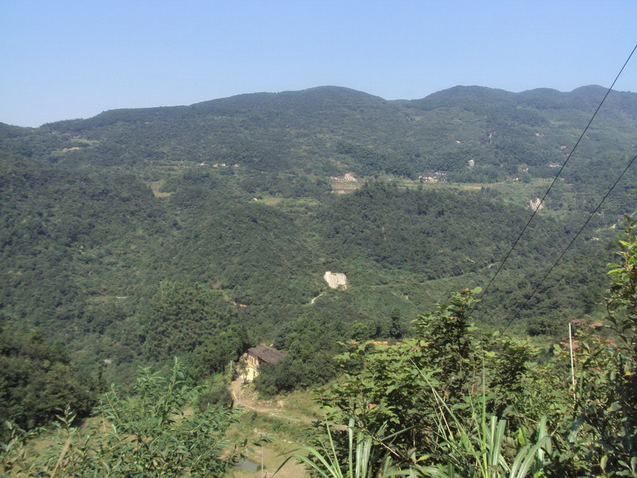 DSC01886.jpg