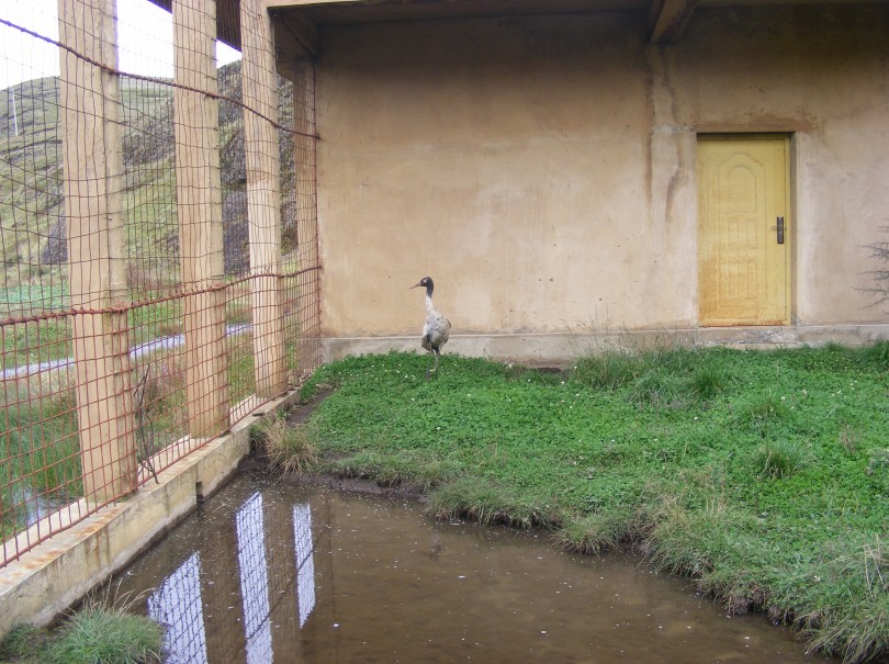 87.jpg