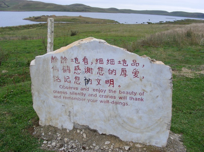 90.jpg