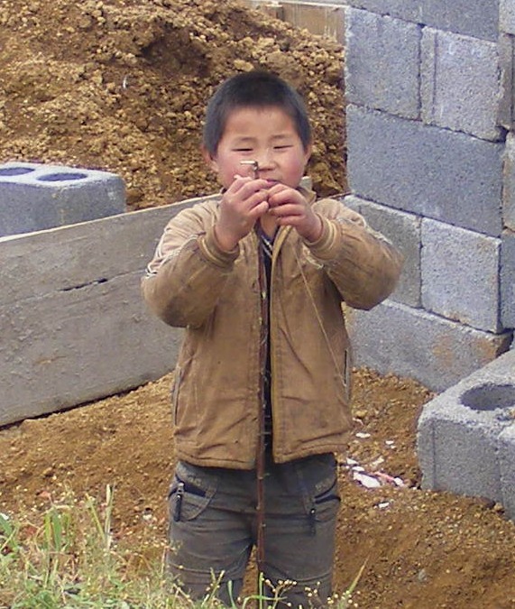 93.jpg