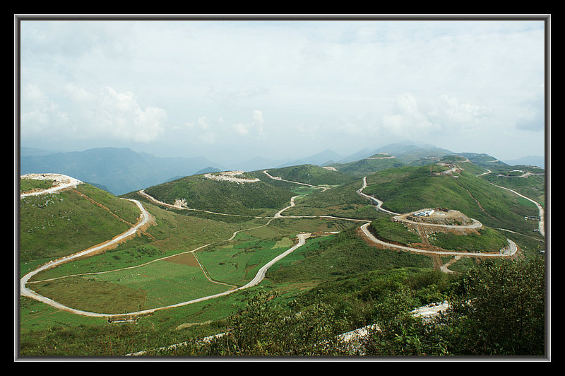 DSC05428.jpg
