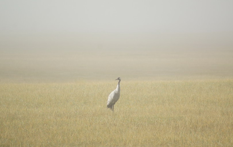 DSC09700.jpg