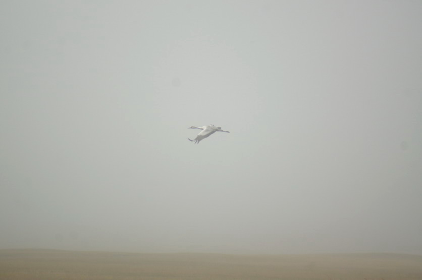 DSC09722.jpg