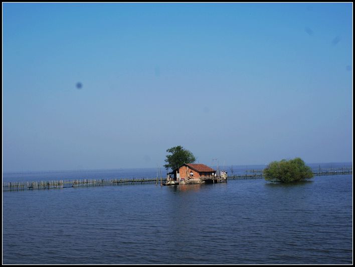 DSC02605.jpg