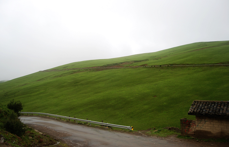 n60 373.jpg