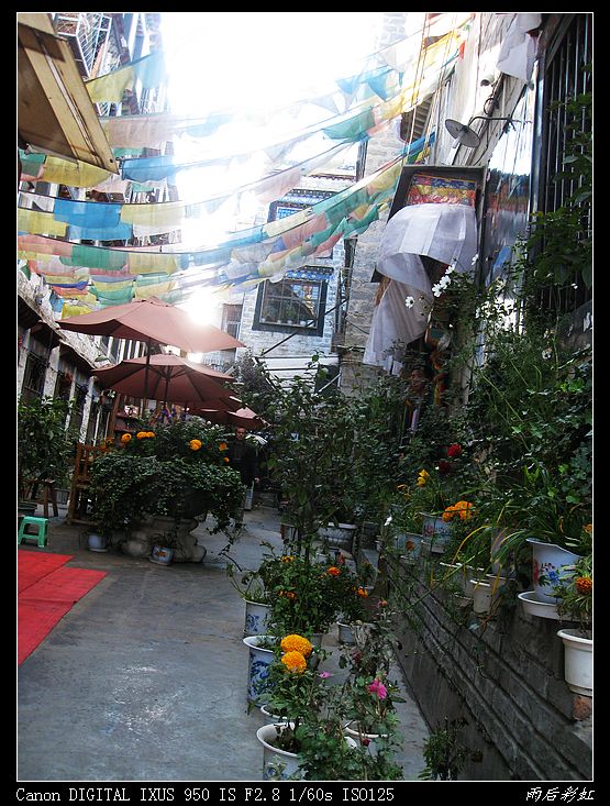nEO_IMG_10���������տ��� 230.jpg