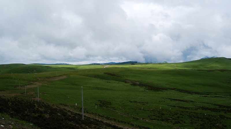 n60 411.jpg