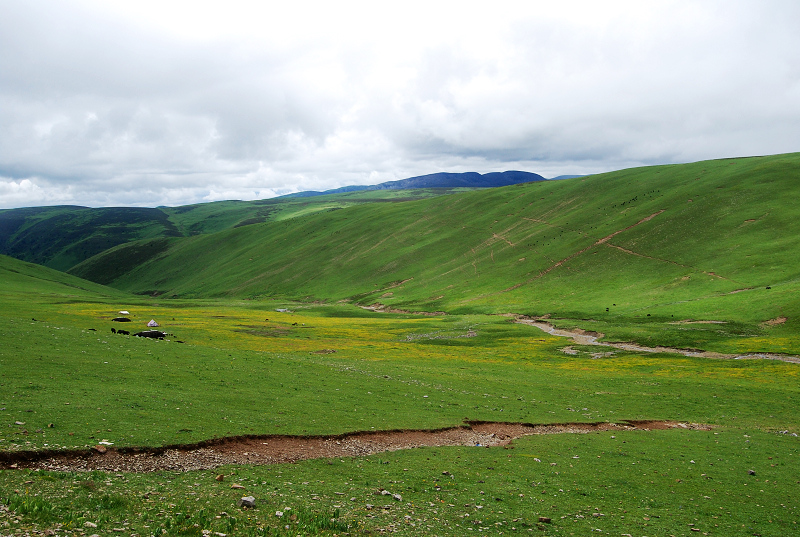 n60 415.jpg