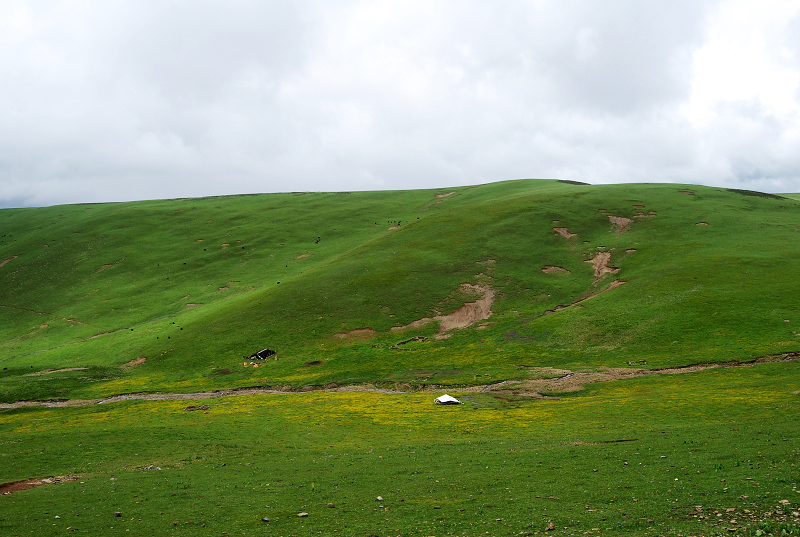 n60 416.jpg