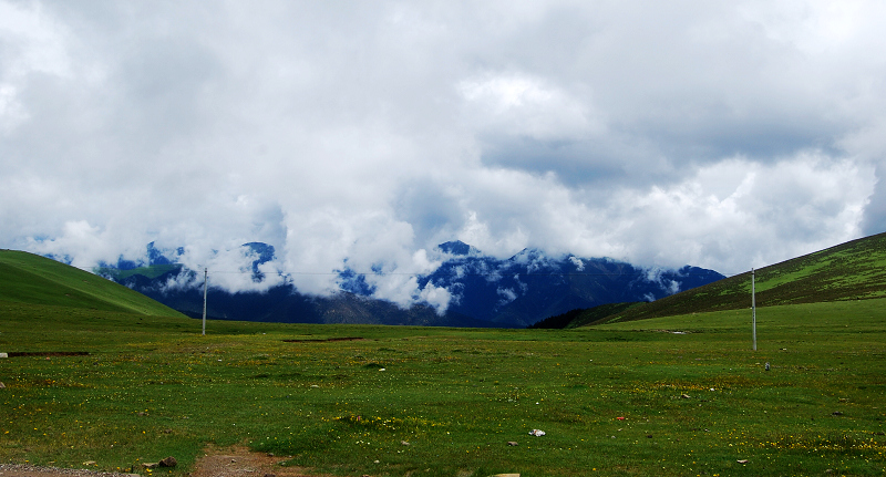 n60 420.jpg